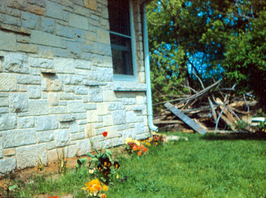 Box18 038 Pansy border at 507 Eugenia 55